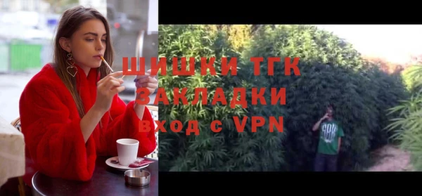индика Наволоки