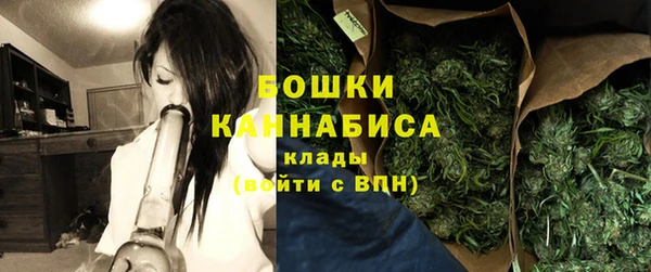 индика Наволоки