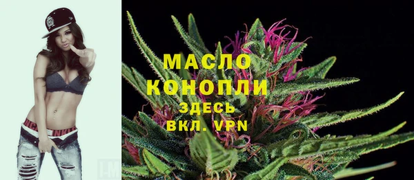 индика Наволоки