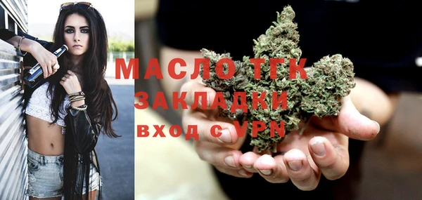 индика Наволоки